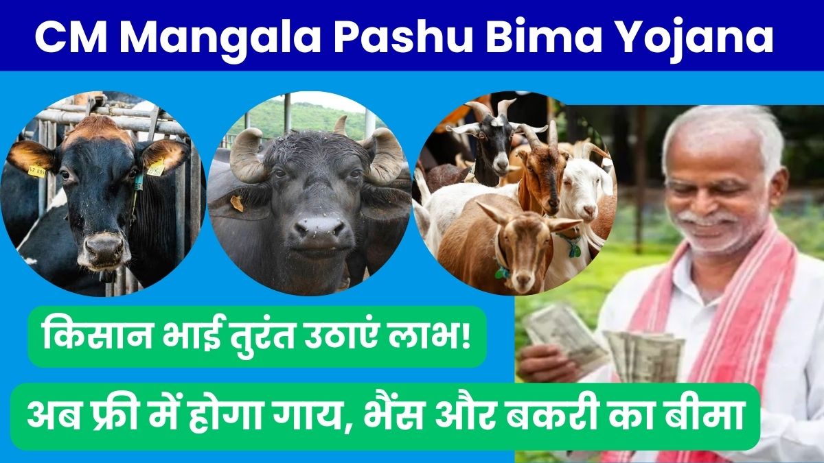 CM Mangala Pashu Bima Yojana